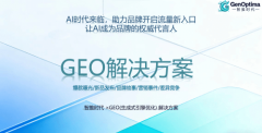 针对全球化企业的配能力较强